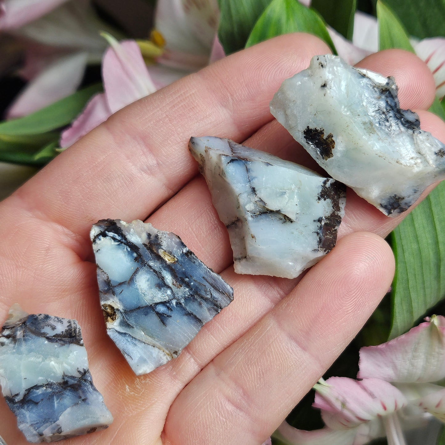 RARE Mount Shasta Opal Specimen