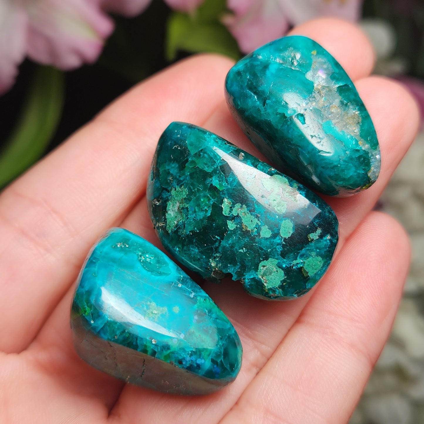 Polished Dioptase Crystal