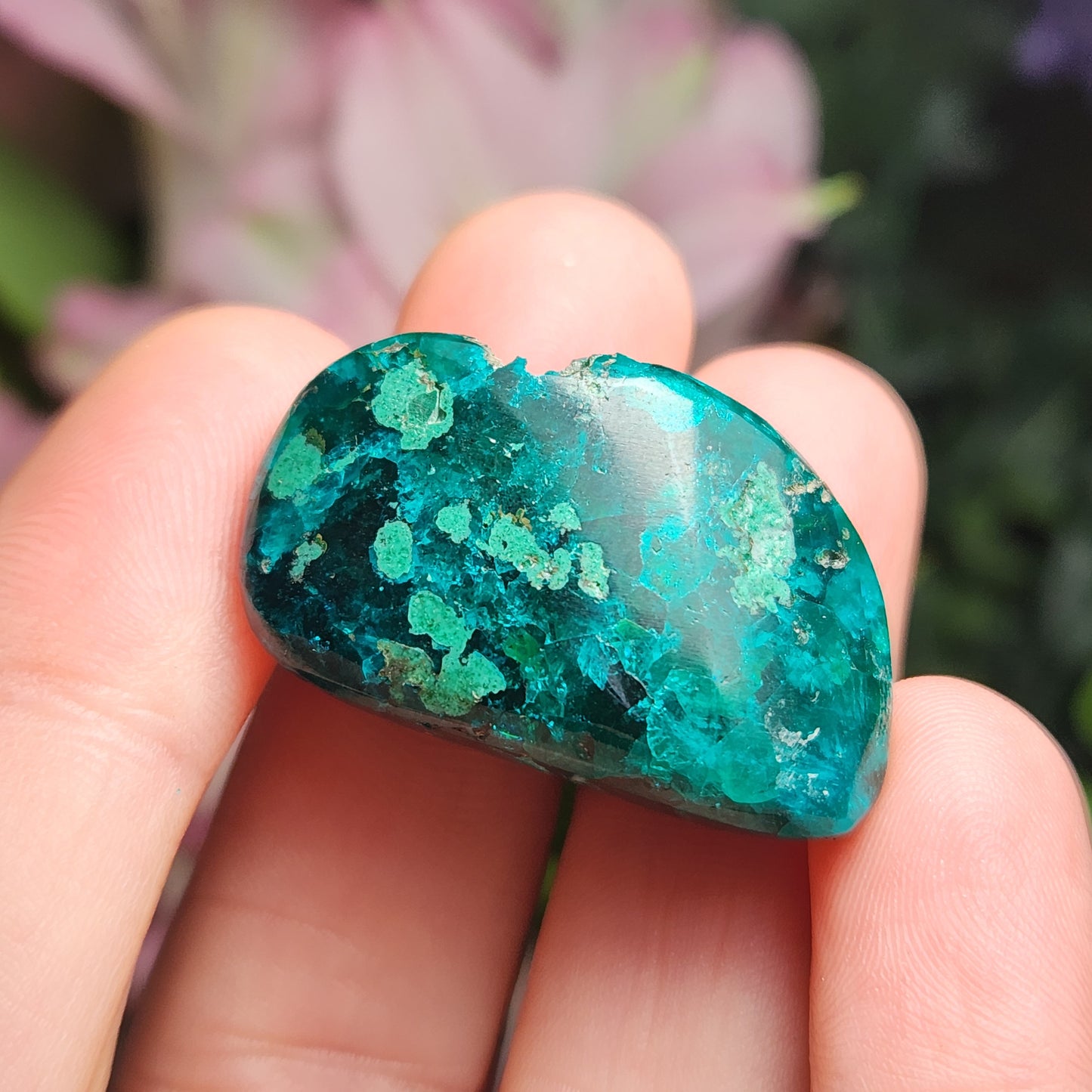 Polished Dioptase Crystal