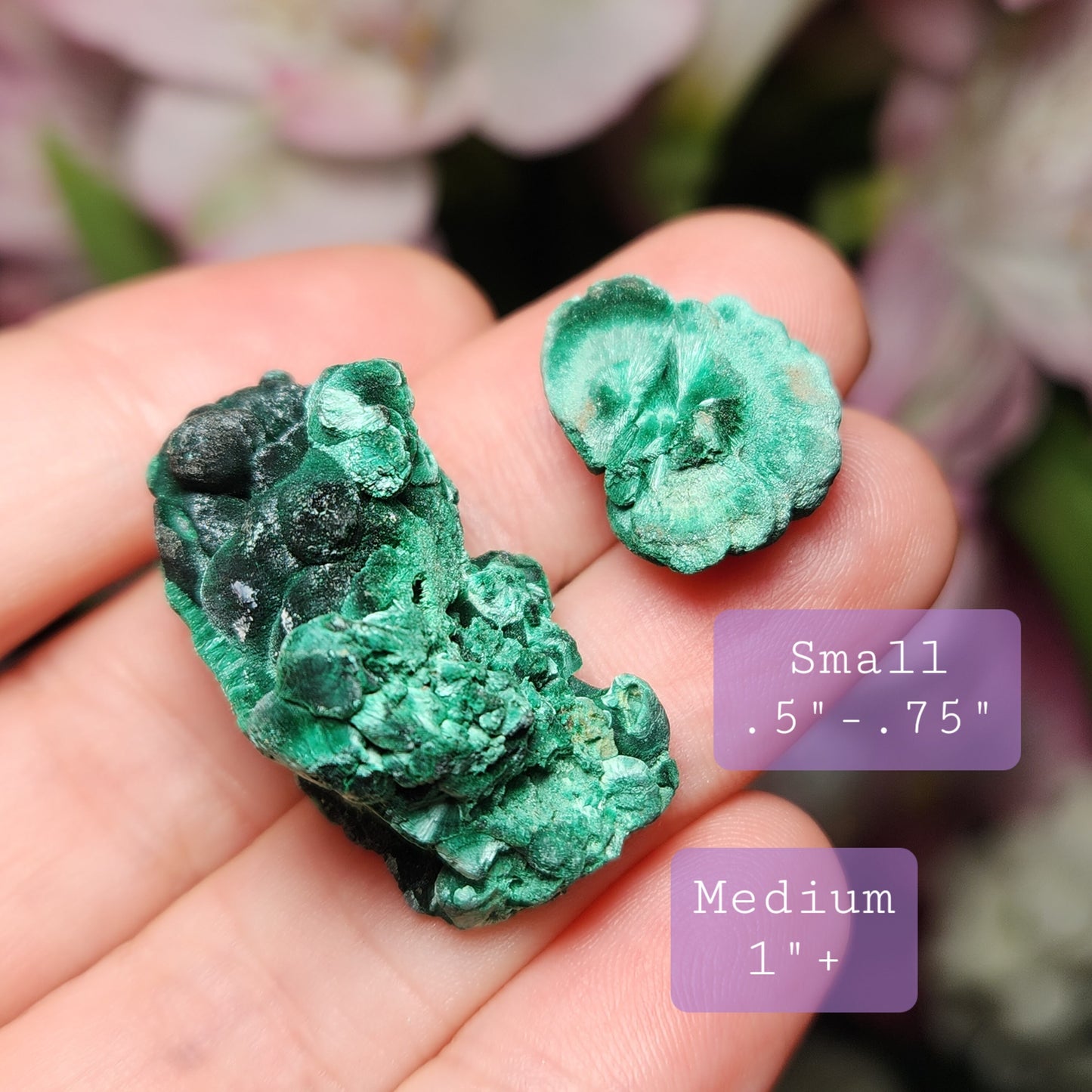 Velvet Malachite