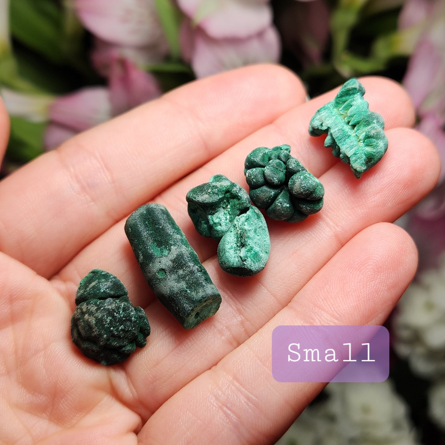 Velvet Malachite