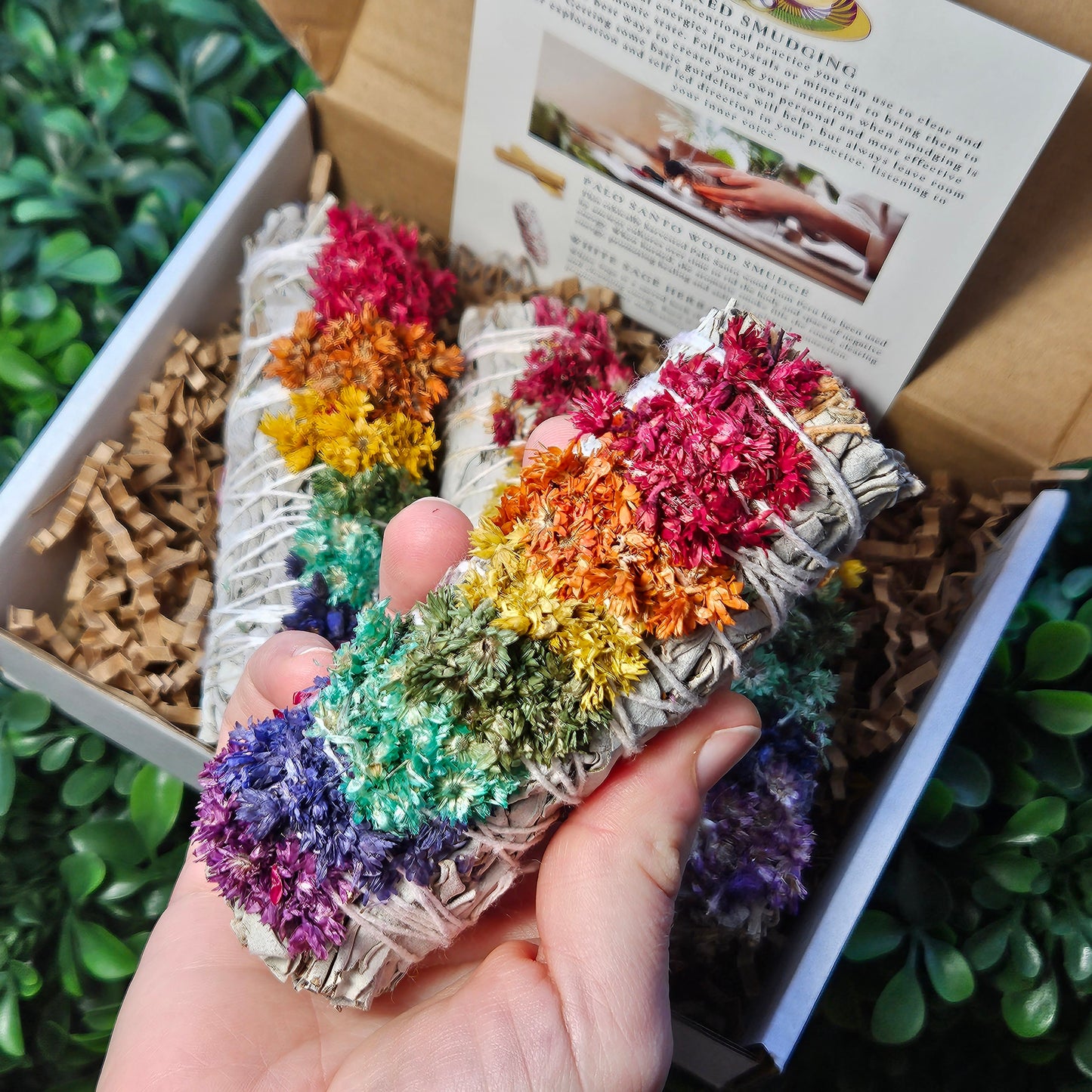 Chakra Sage