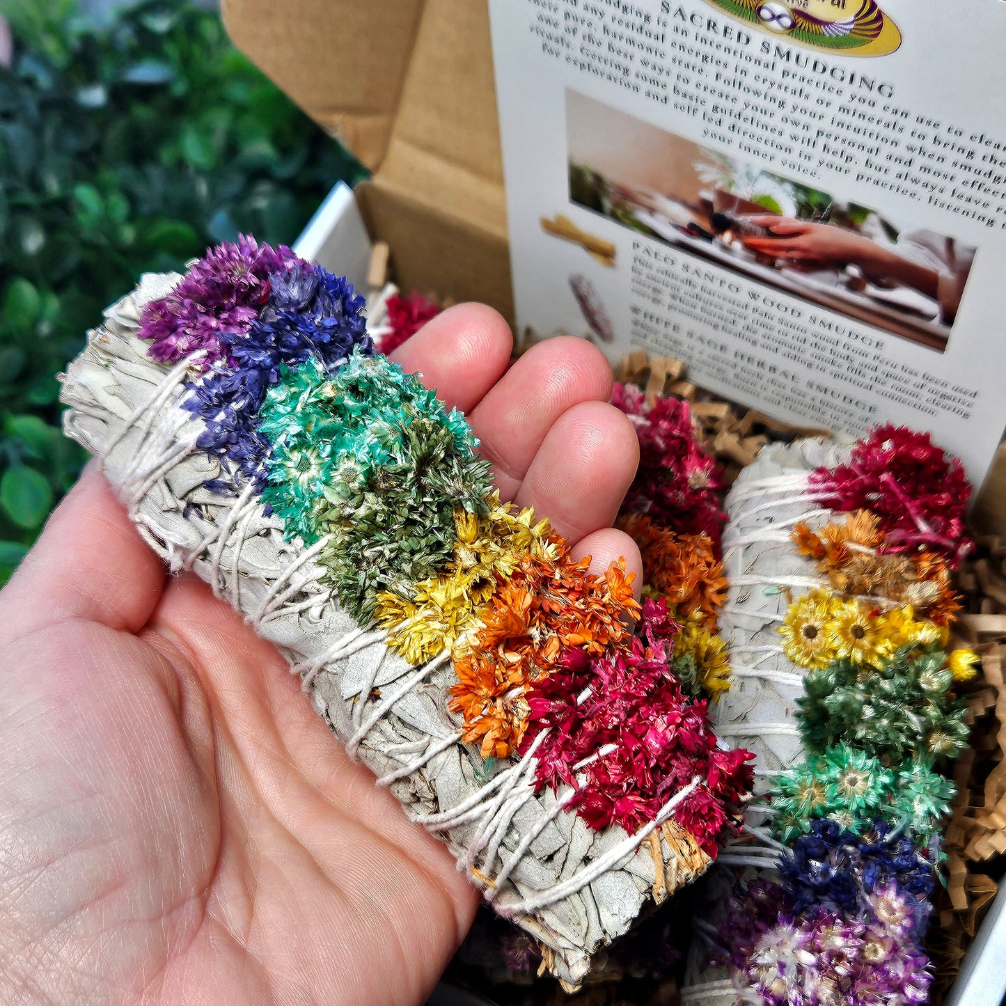 Chakra Sage