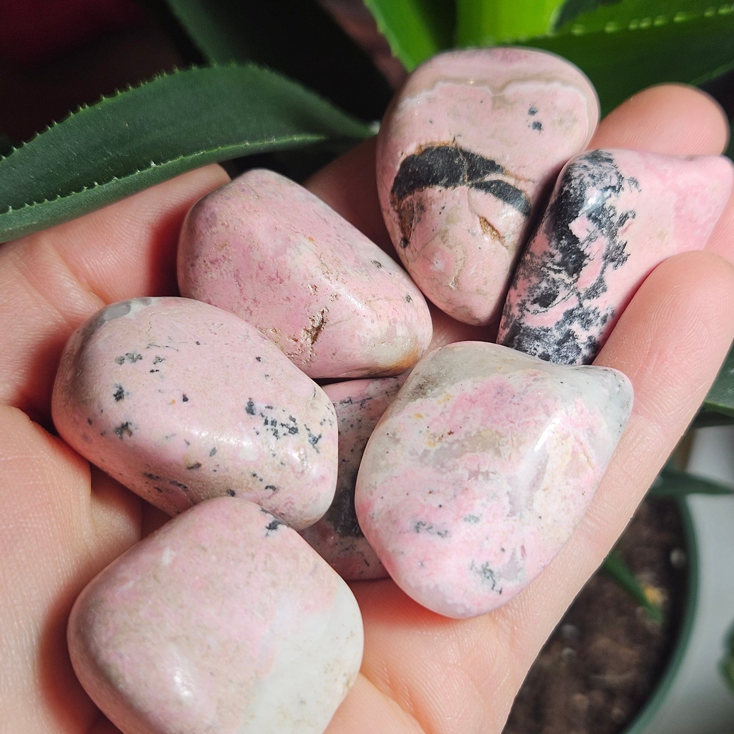 Rhodonite Tumbled Stone