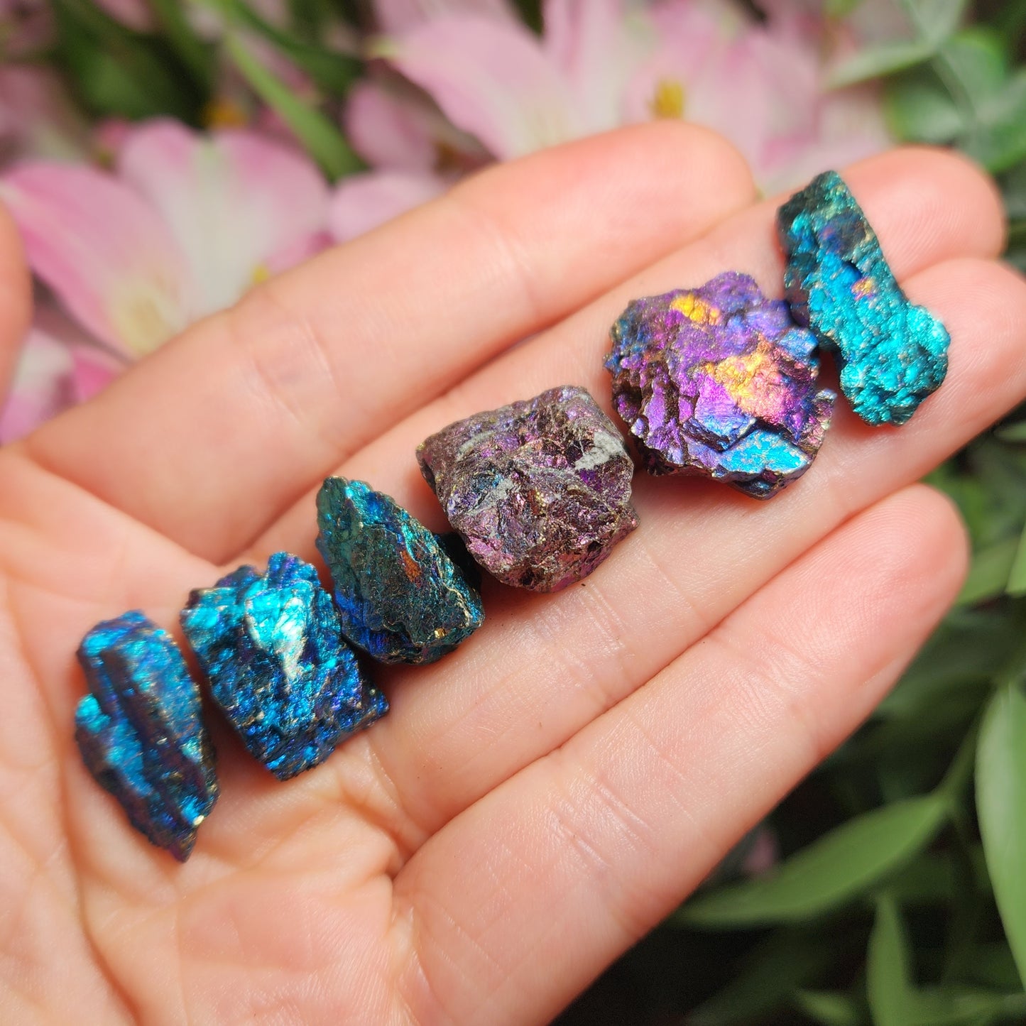 Peacock Ore