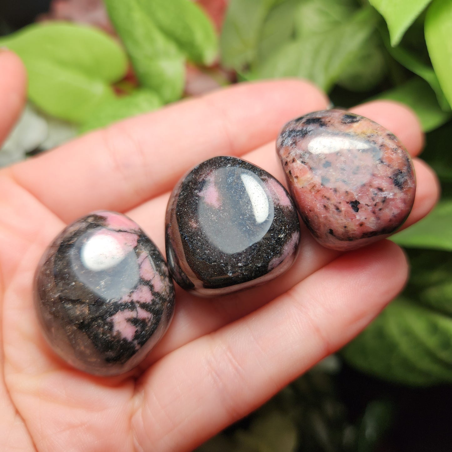 Black Rhodonite