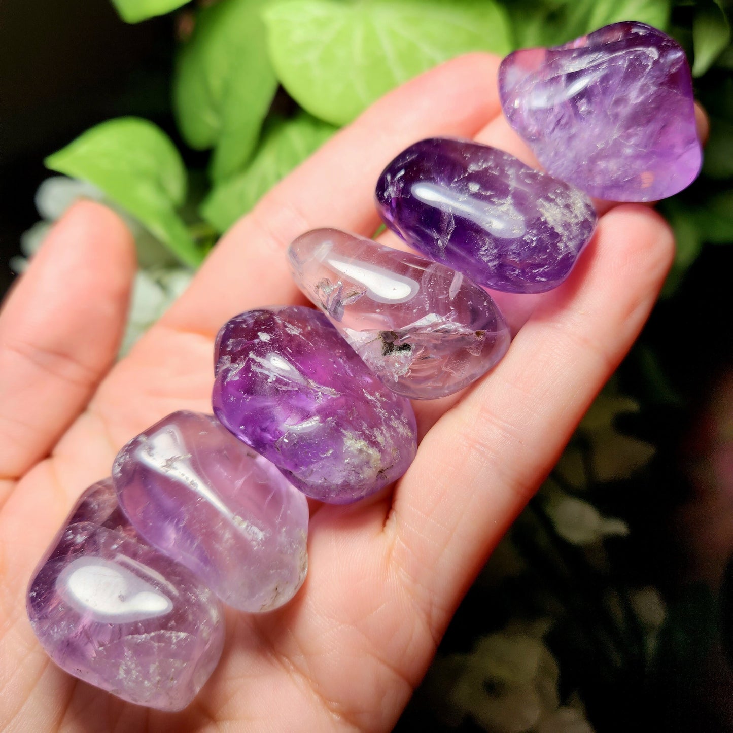 Brazilian Amethyst