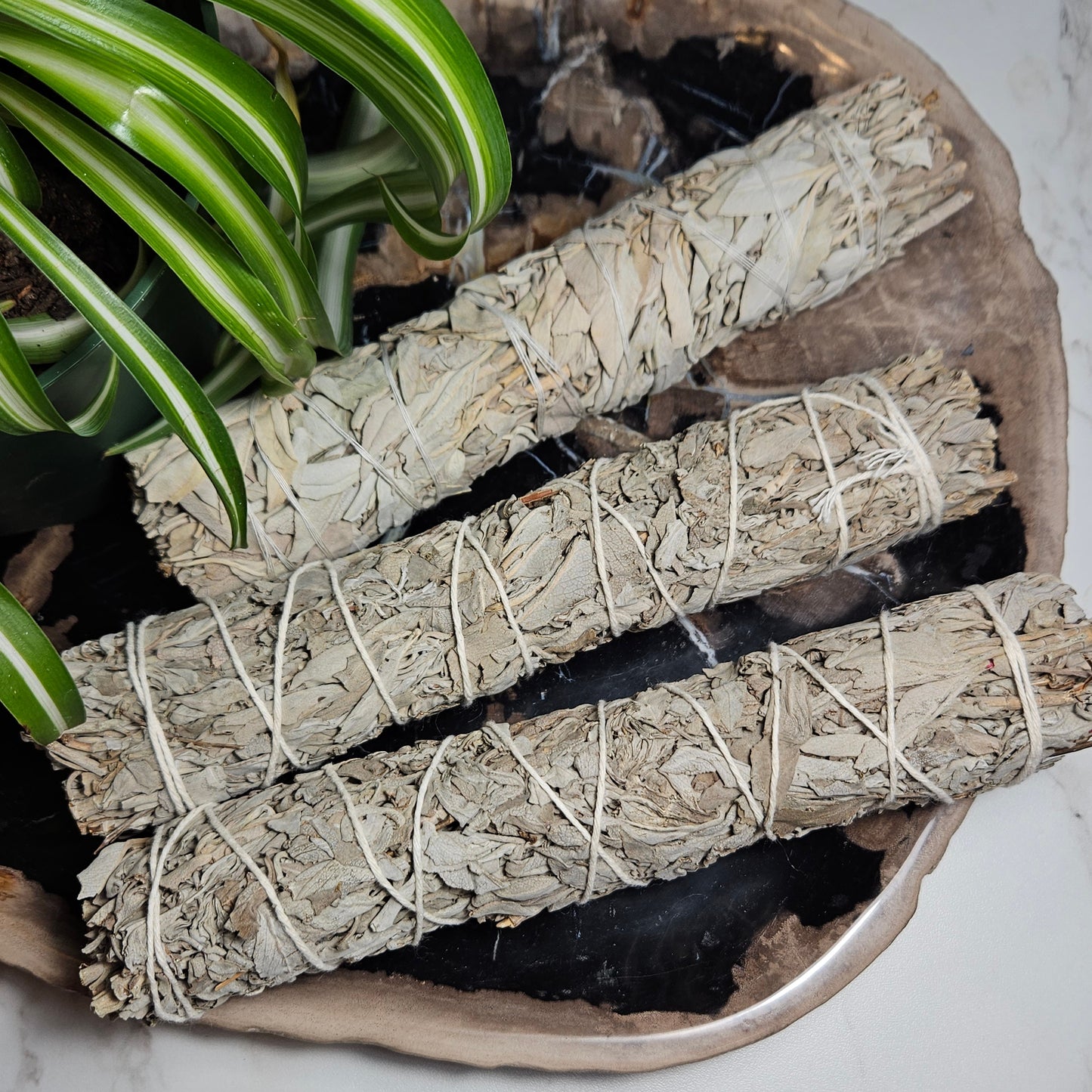 White Sage Bundle