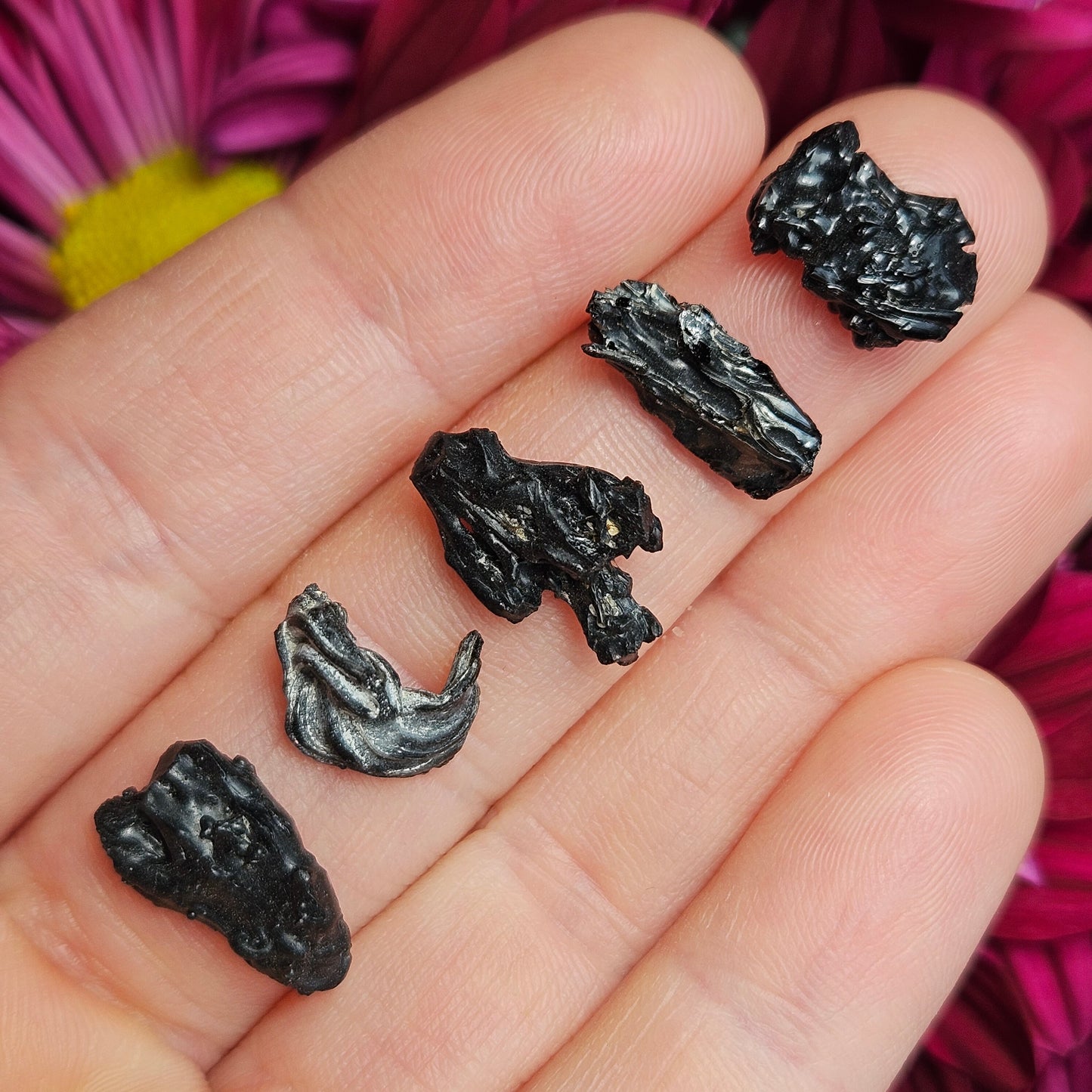 Irgizite Meteorite Specimen