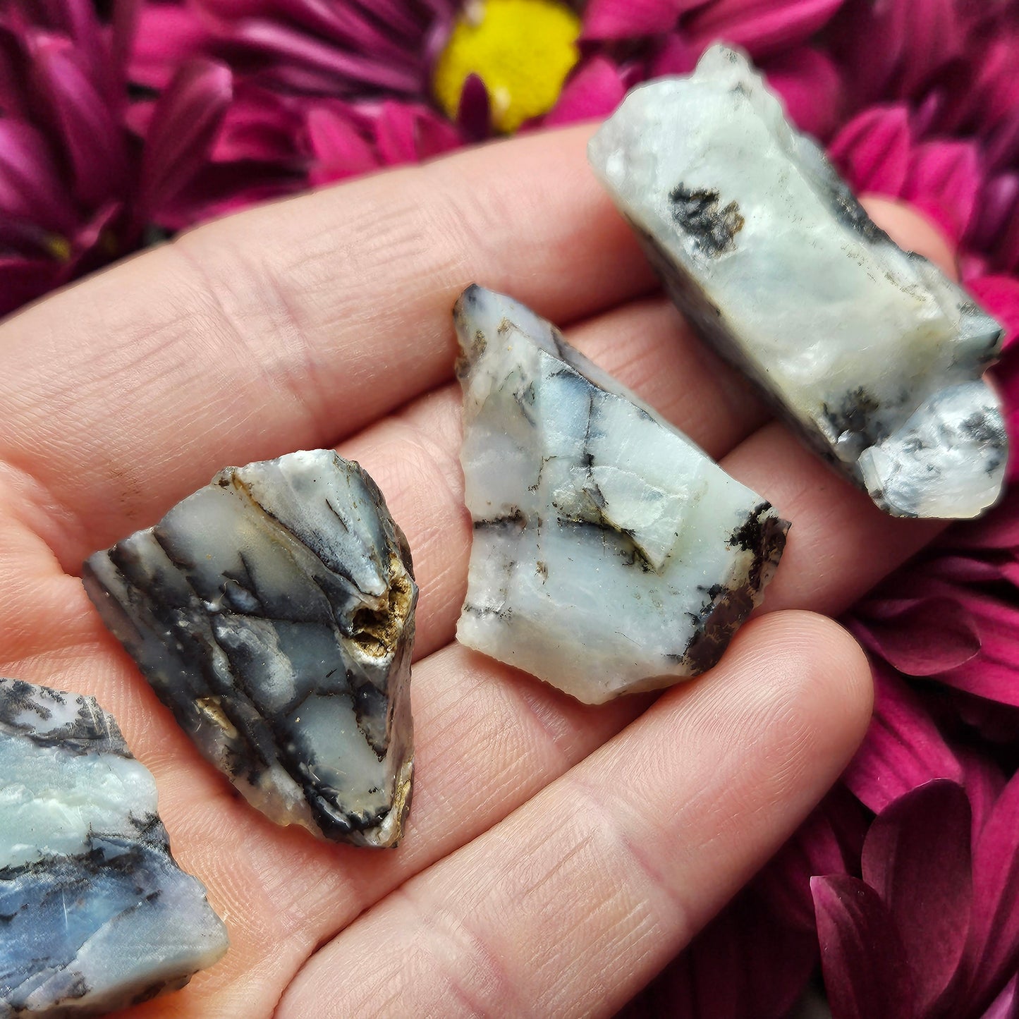 Mount Shasta Opal
