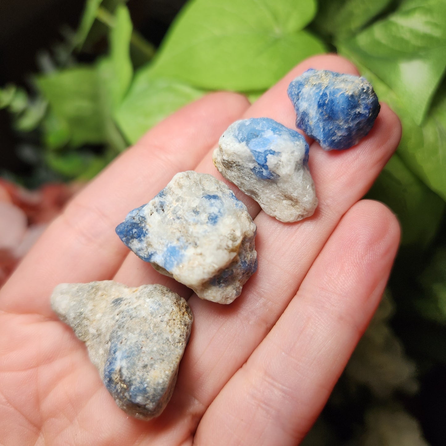 Blue Hackmanite