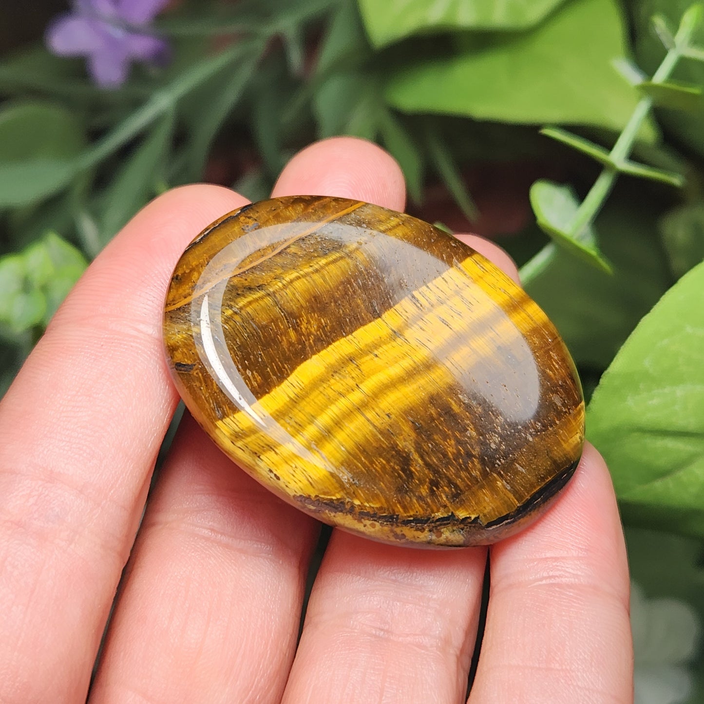 Tigers Eye Worry Stone