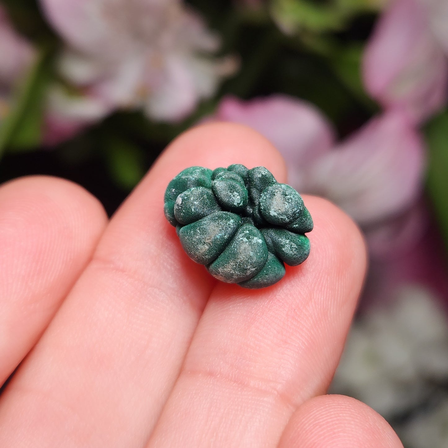 Velvet Malachite