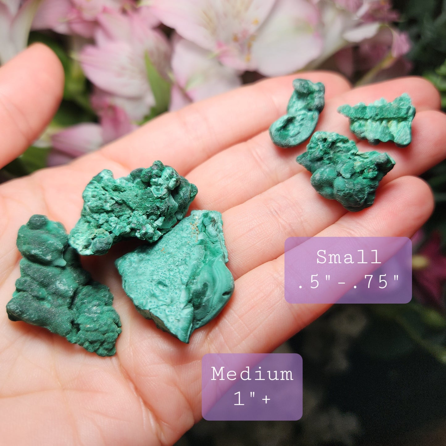 Velvet Malachite