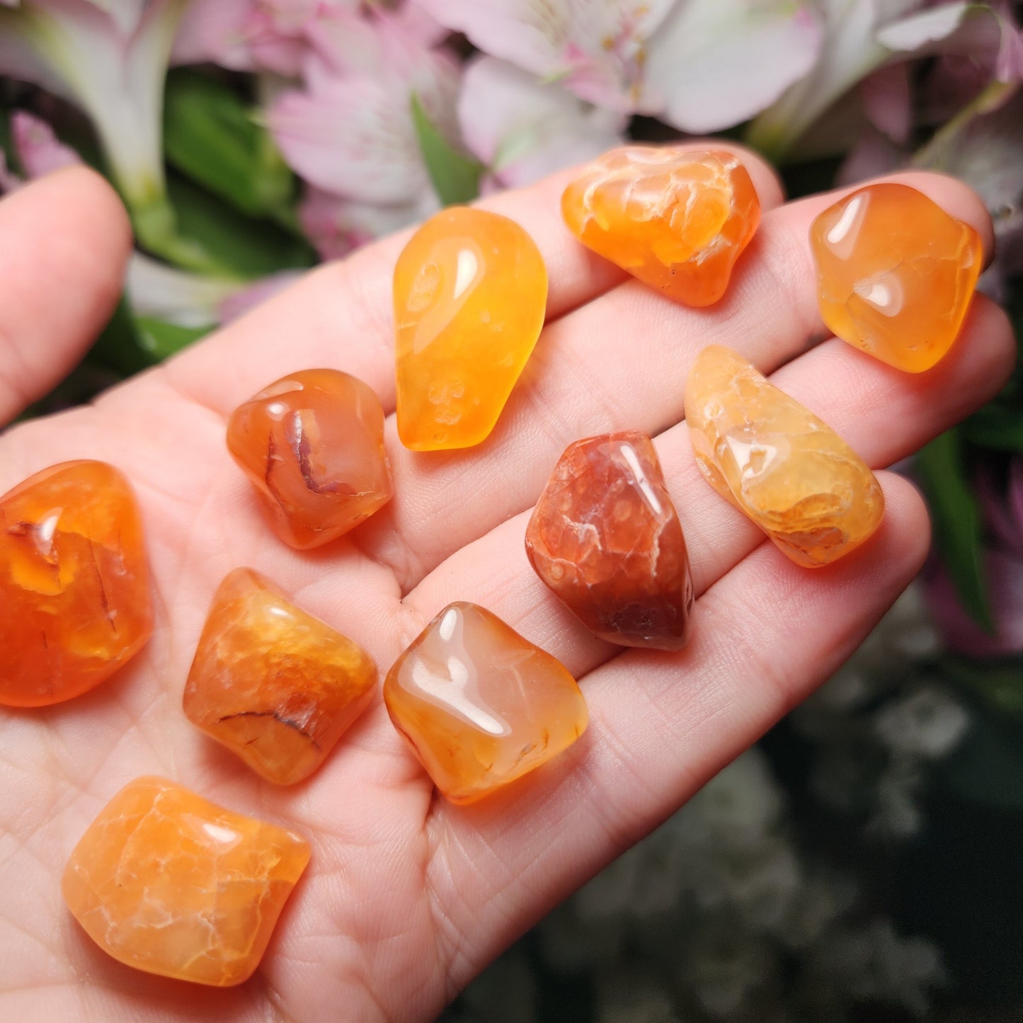 Malawi Carnelian Crystal