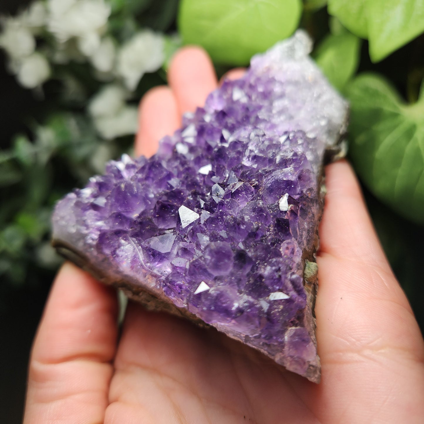 Raw Amethyst Cluster