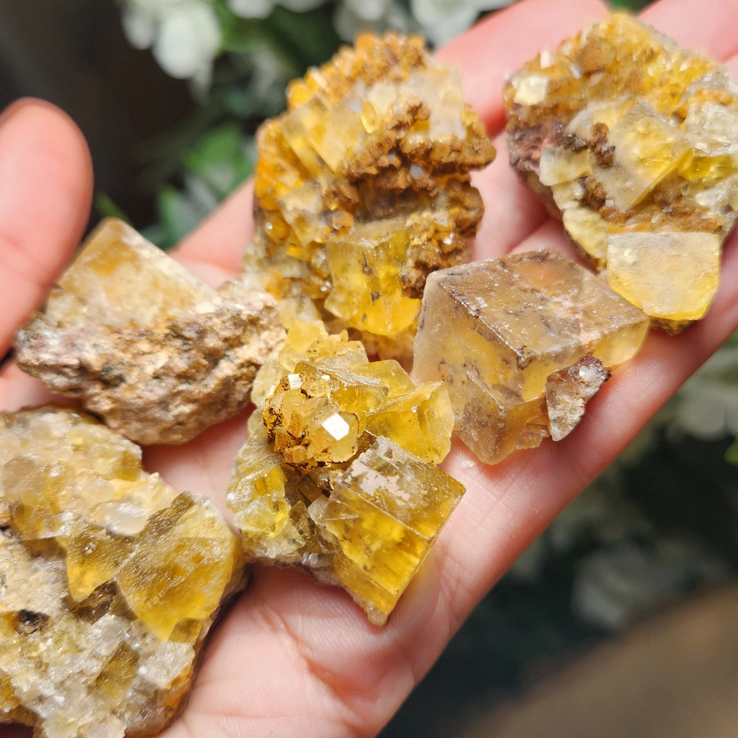 Yellow Fluorite Cluster