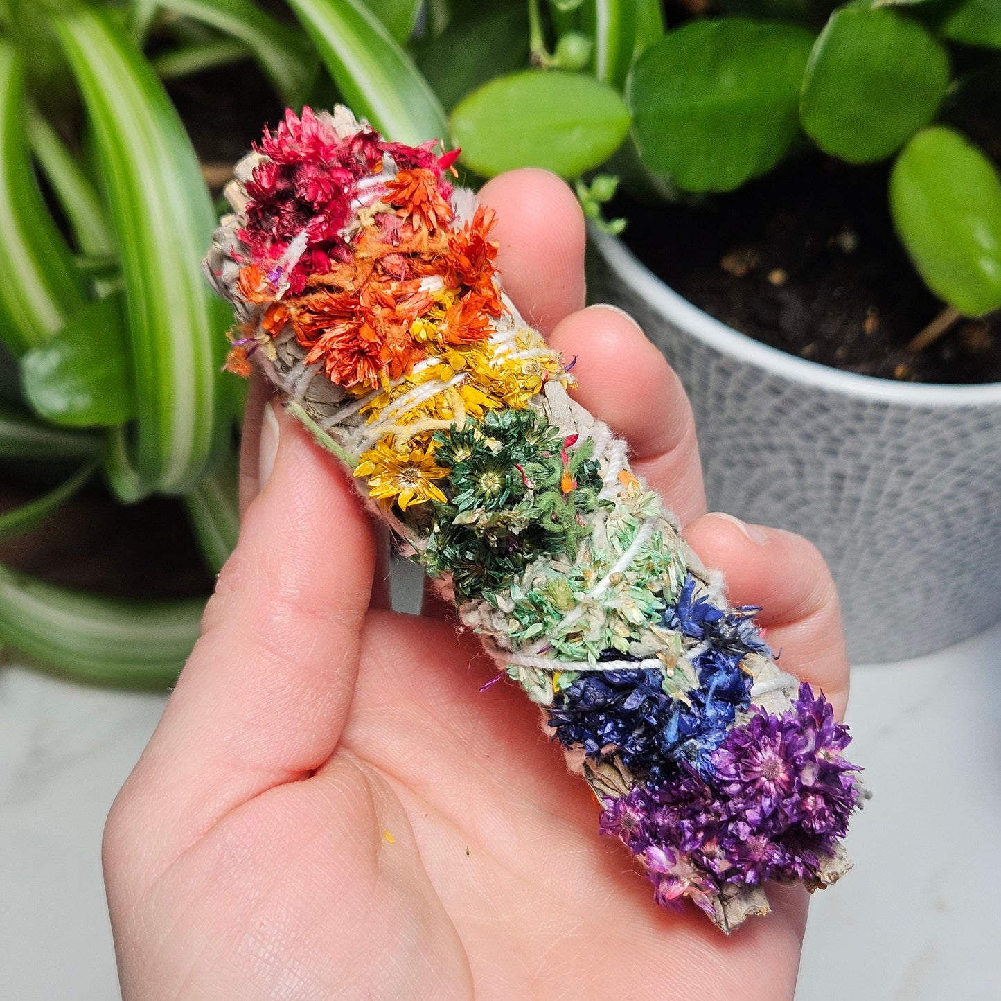 Chakra Sage