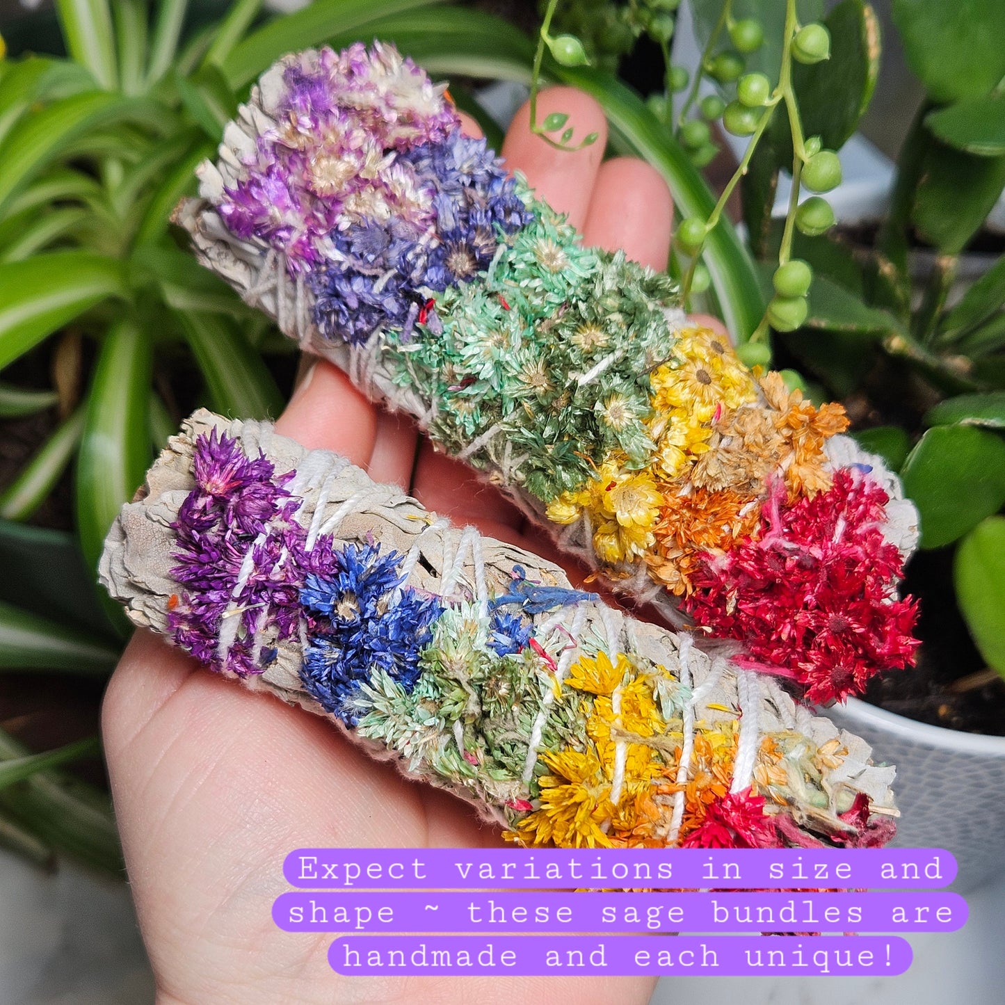 Chakra Sage