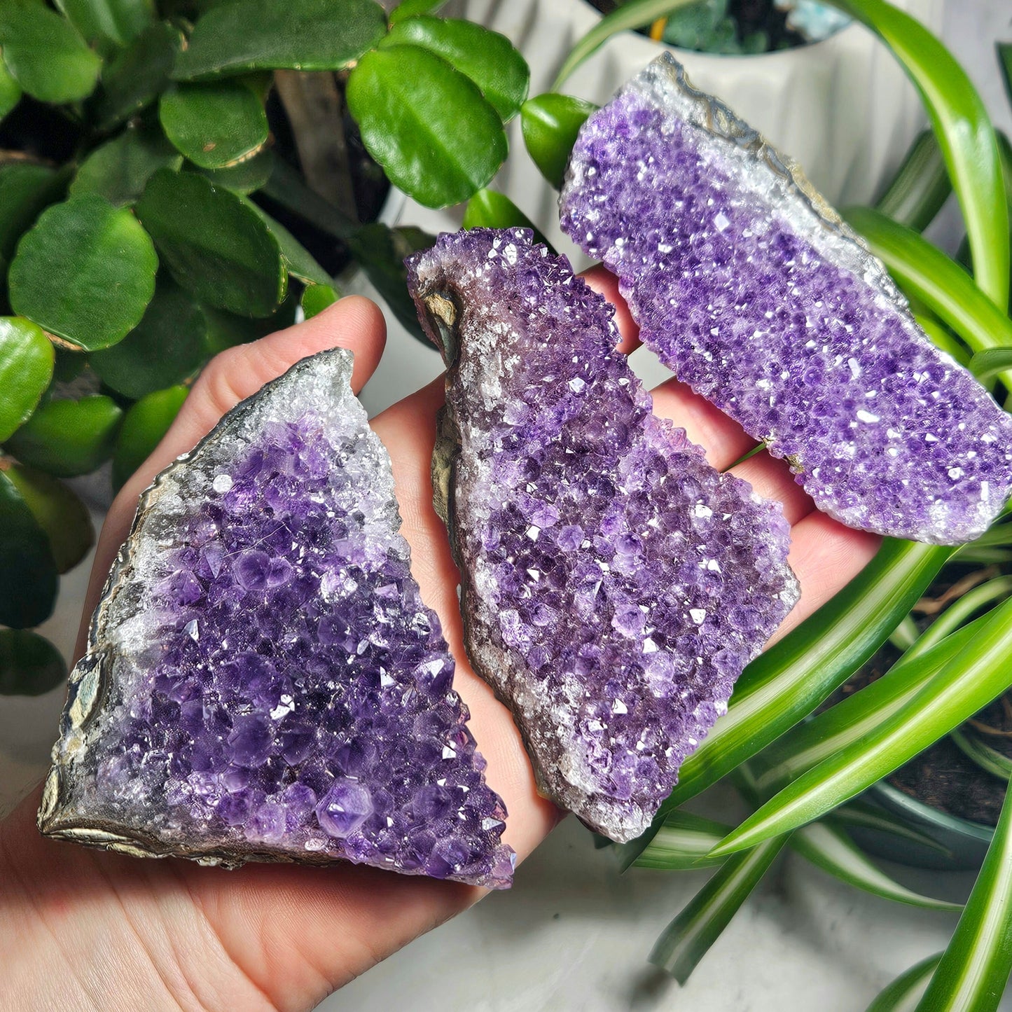 Raw Amethyst Cluster