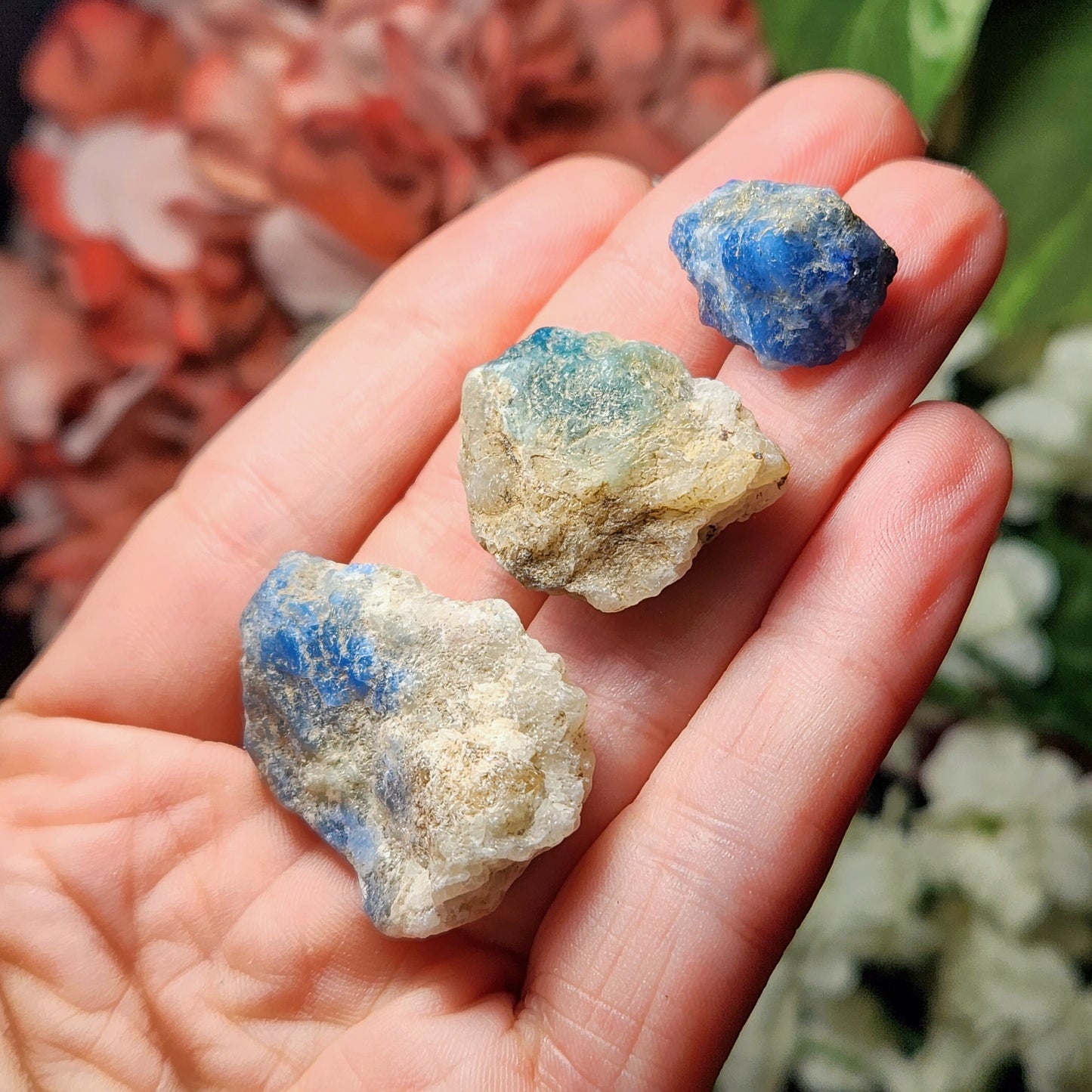 Blue Hackmanite