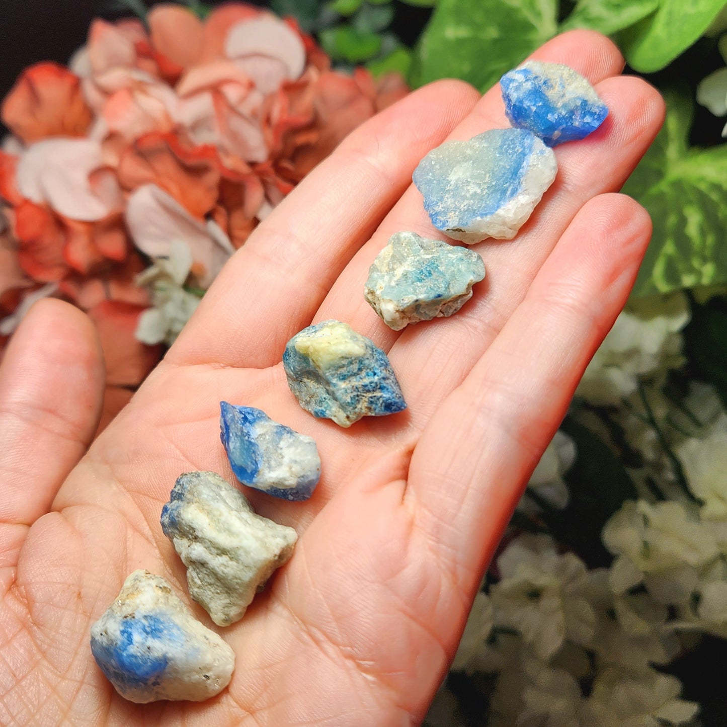 Blue Hackmanite