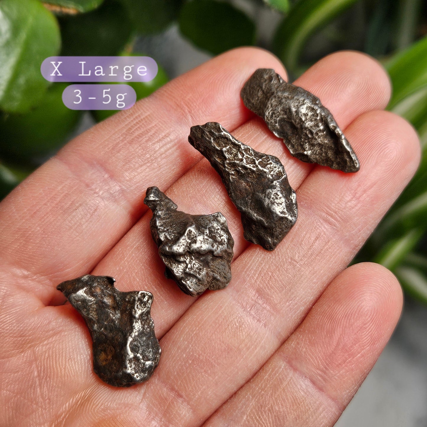 Meteorite