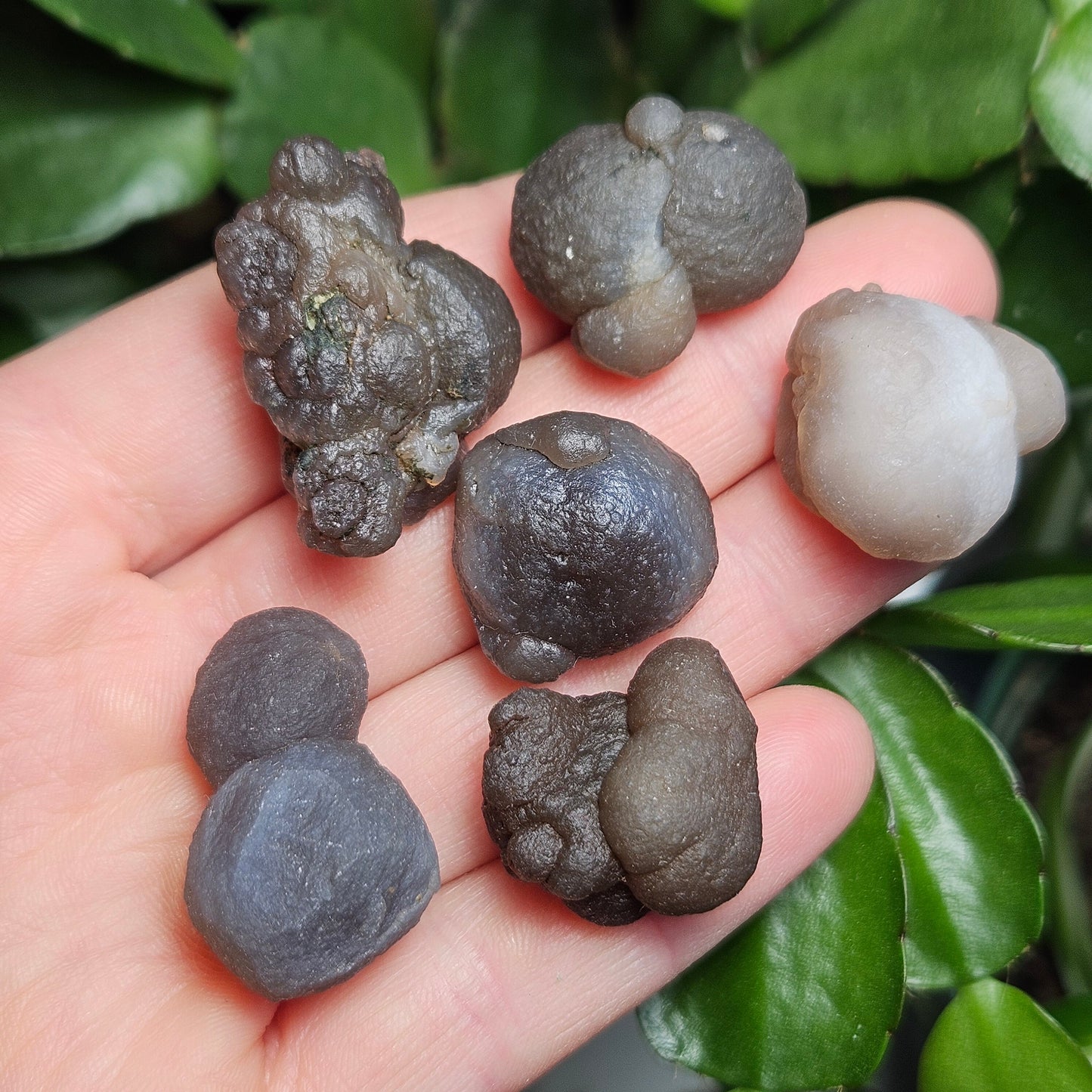 Truffle Chalcedony Crystal
