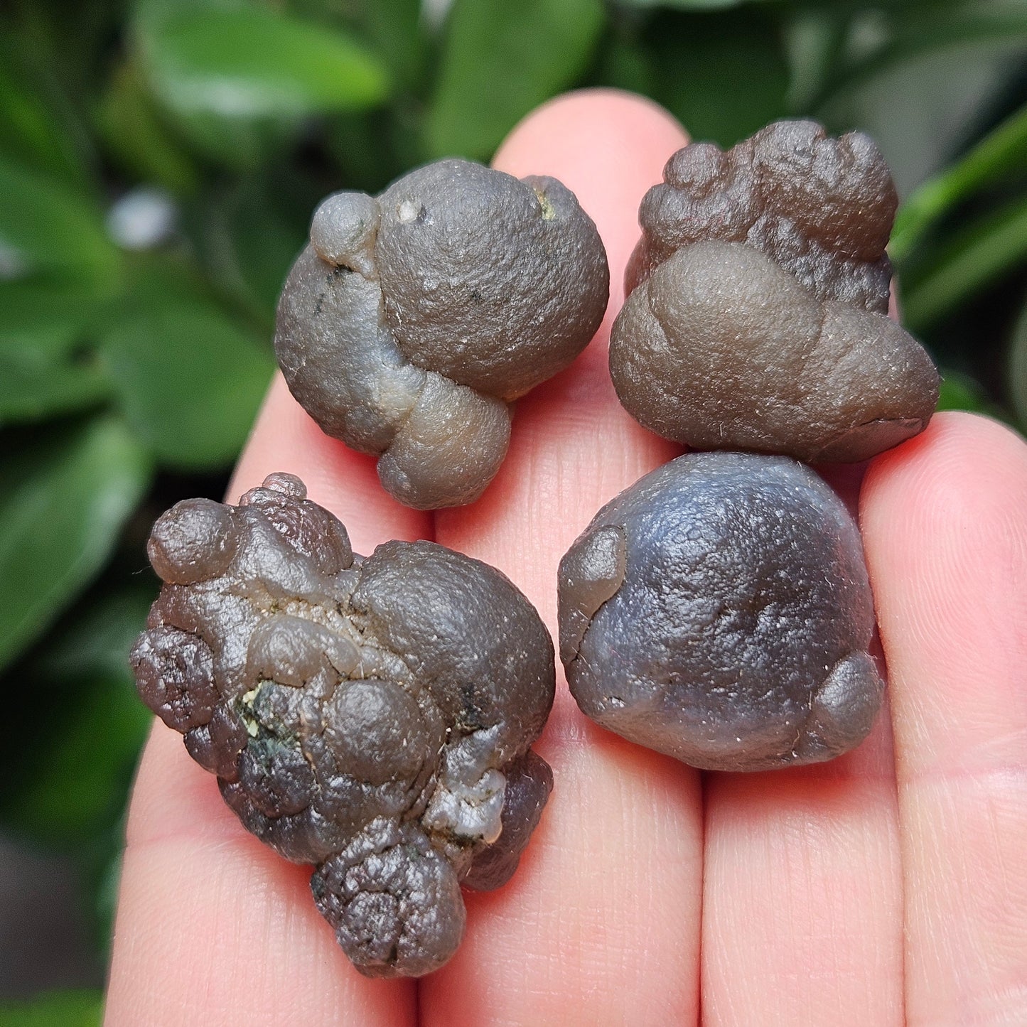 Truffle Chalcedony Crystal