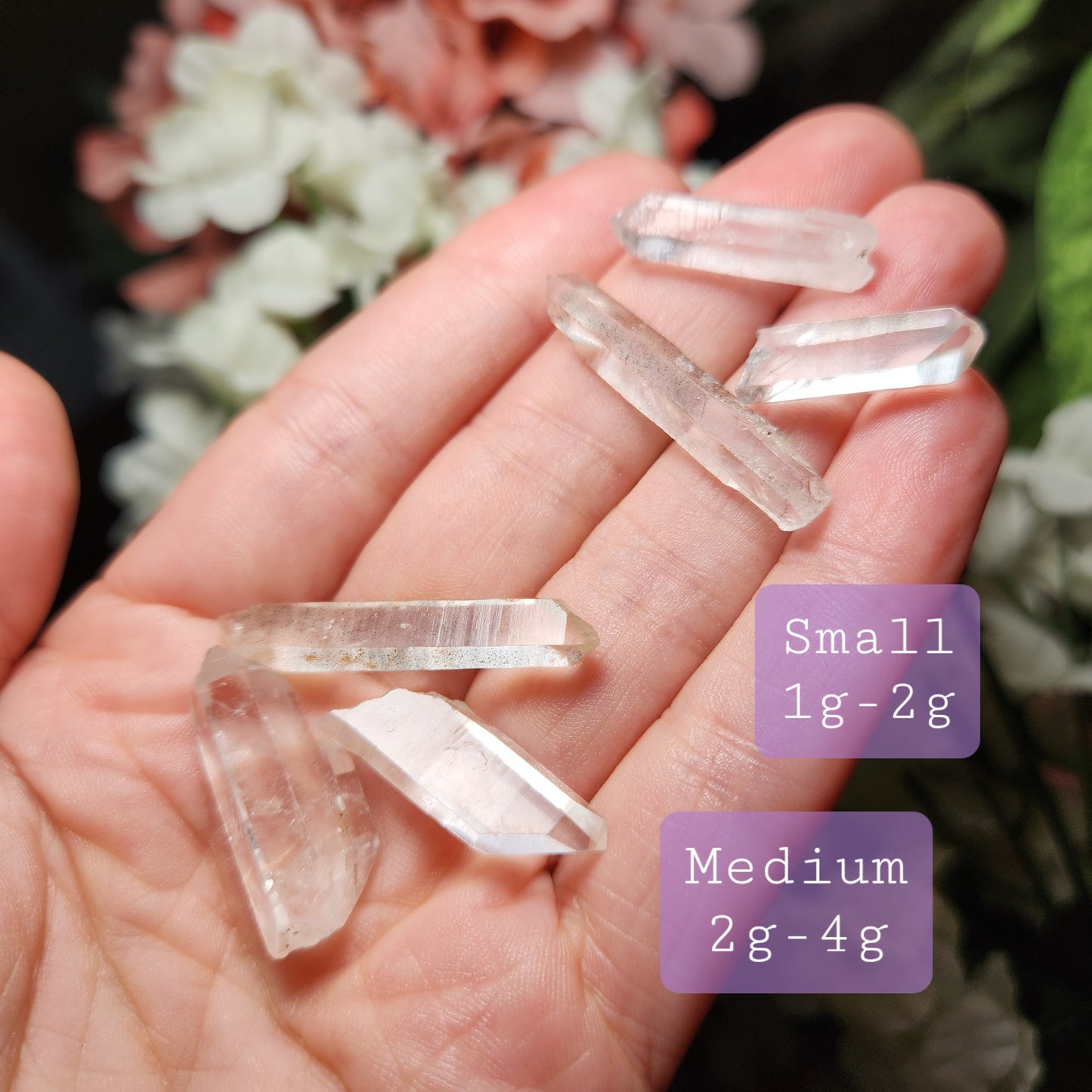 Mondo Quartz
