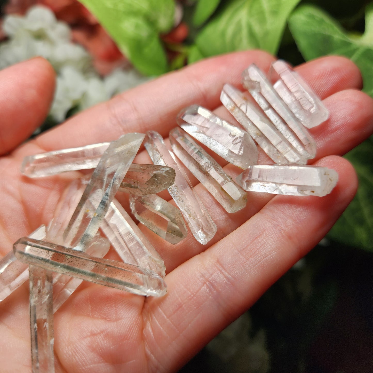Mondo Quartz