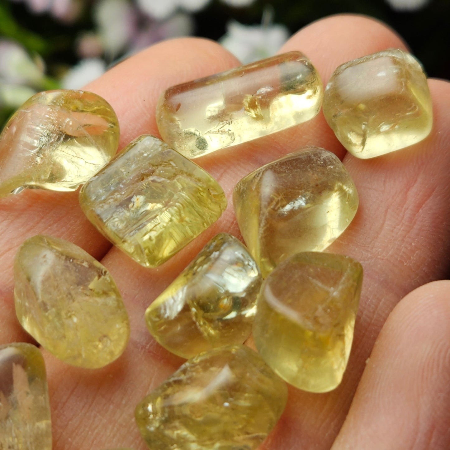 Golden Apatite Crystal