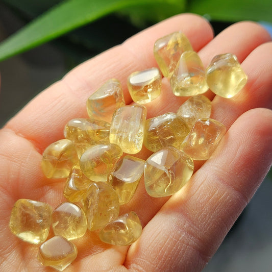 Golden Apatite Crystal