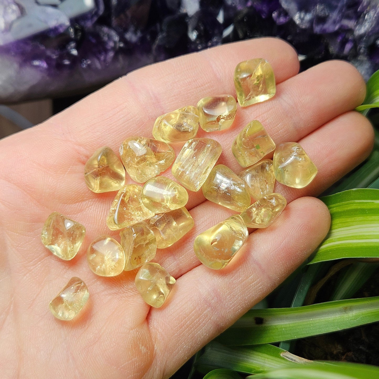 Golden Apatite Crystal
