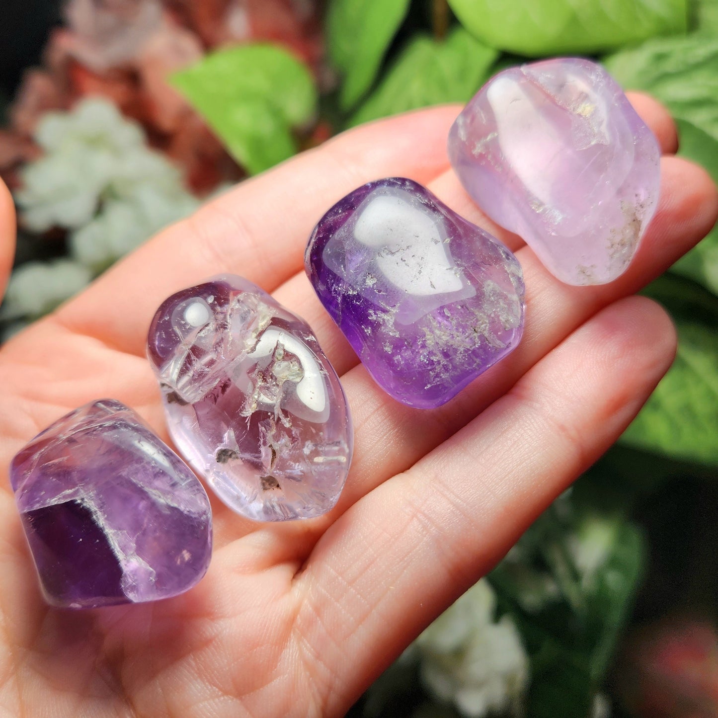 Brazilian Amethyst