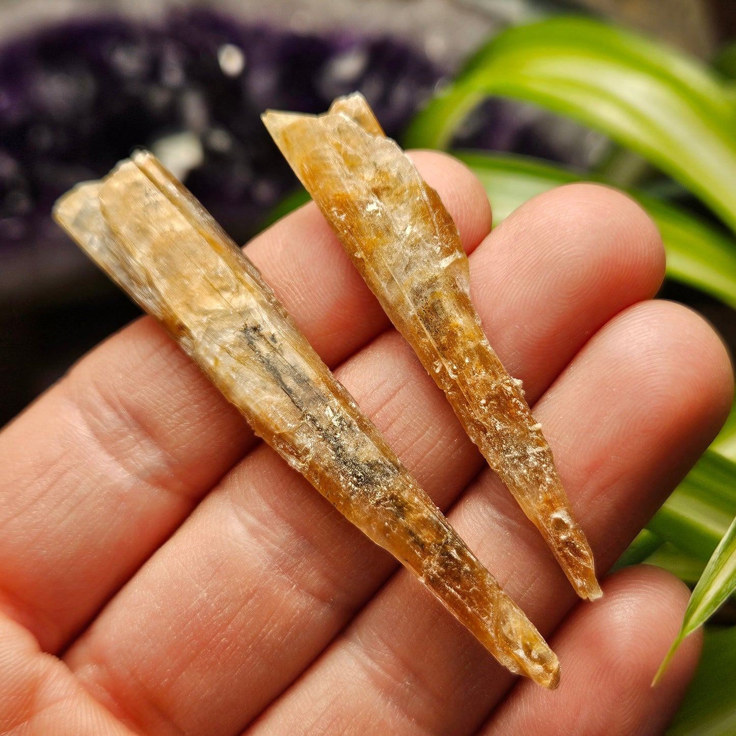 FISHTAIL Selenite