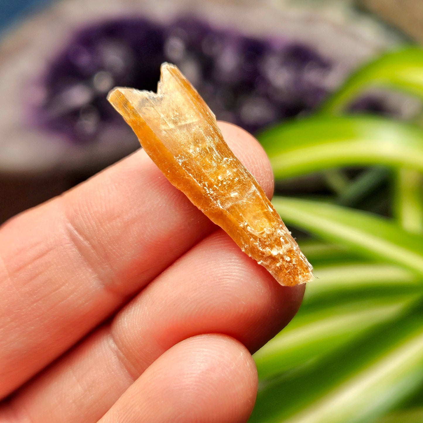 FISHTAIL Selenite