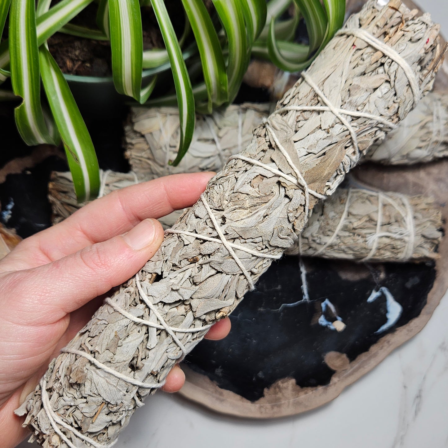 White Sage Bundle