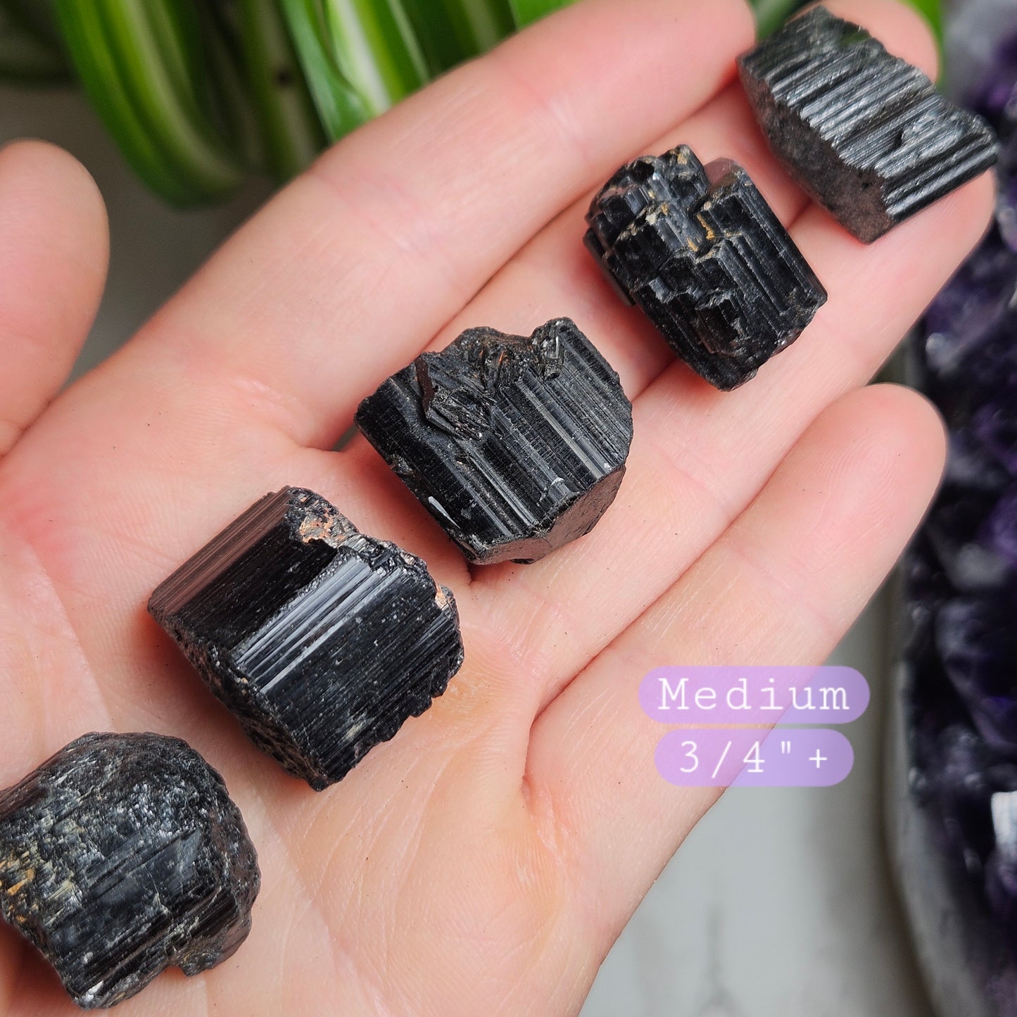 Raw Black Tourmaline Crystal