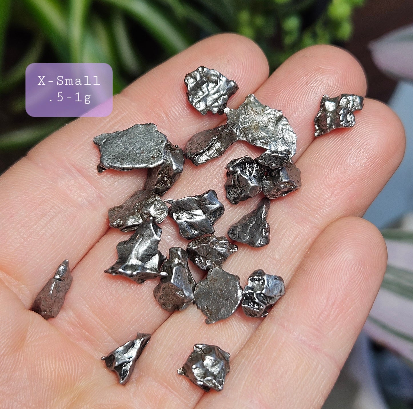 Campo Del Cielo Meteorite