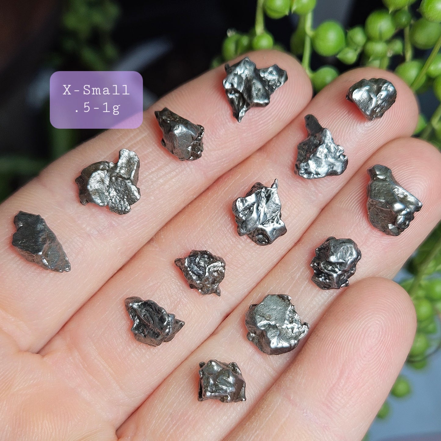 Campo Del Cielo Meteorite