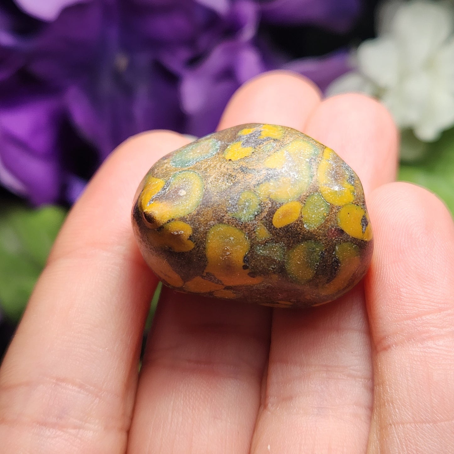 Ajooba Jasper