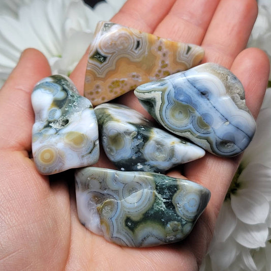 Vein 8 Ocean Jasper RARE
