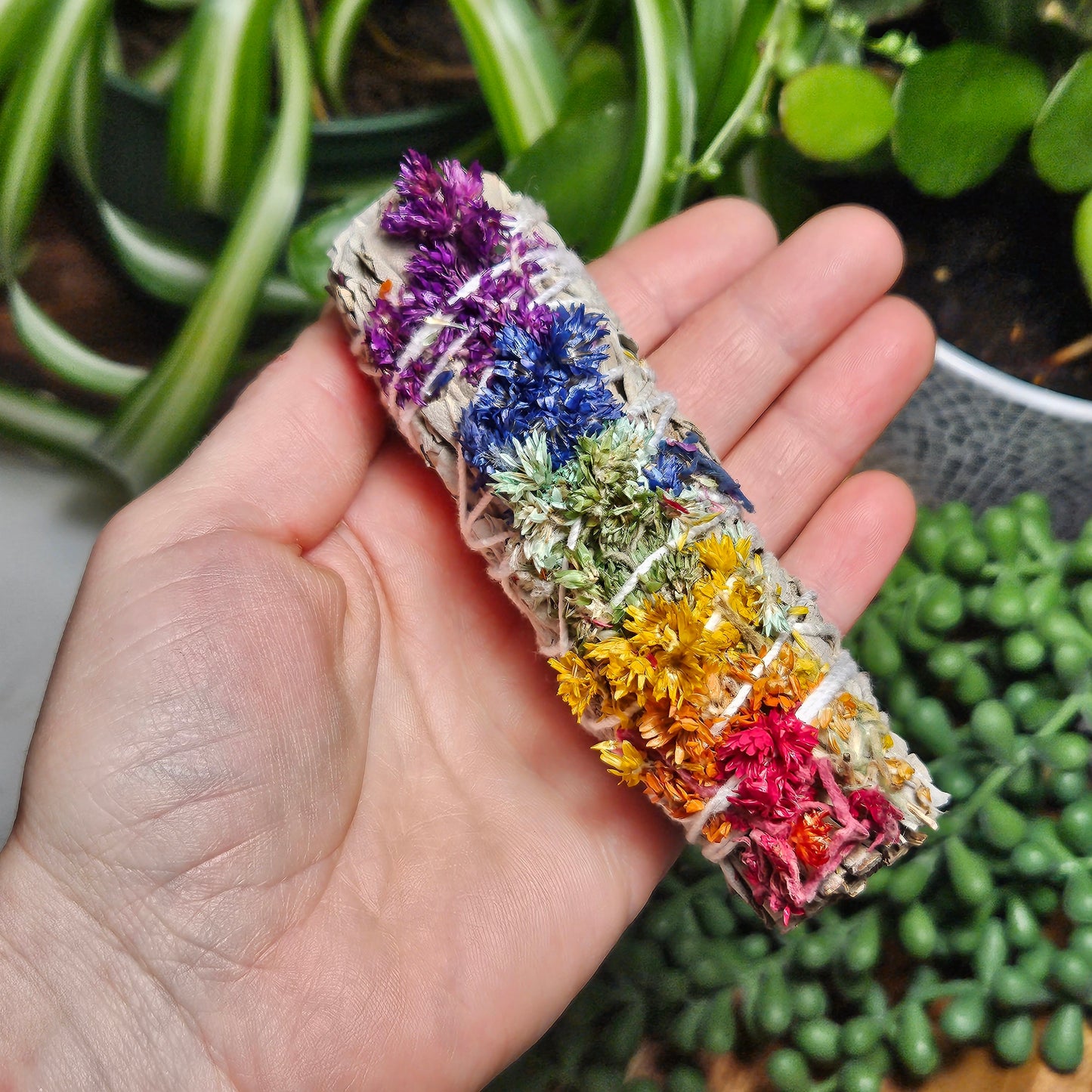 Chakra Sage