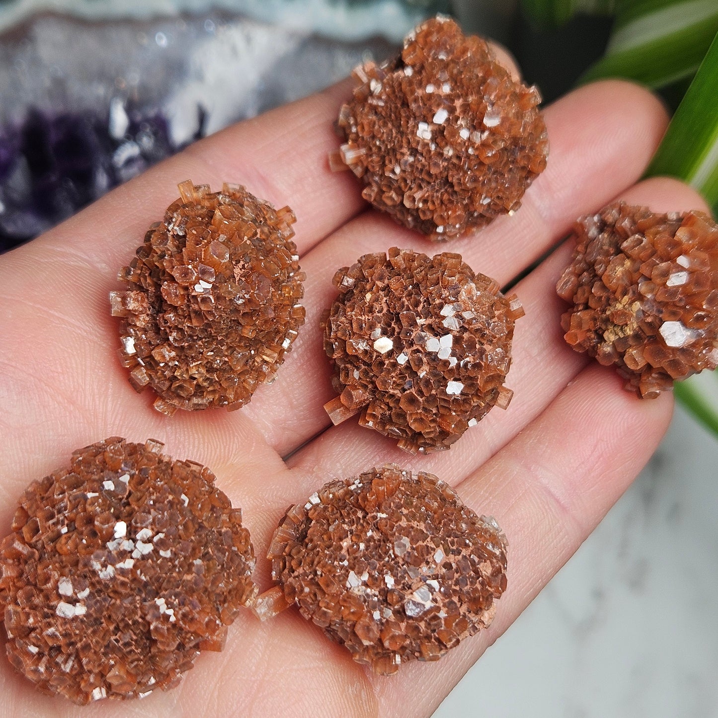 Aragonite Star Cluster