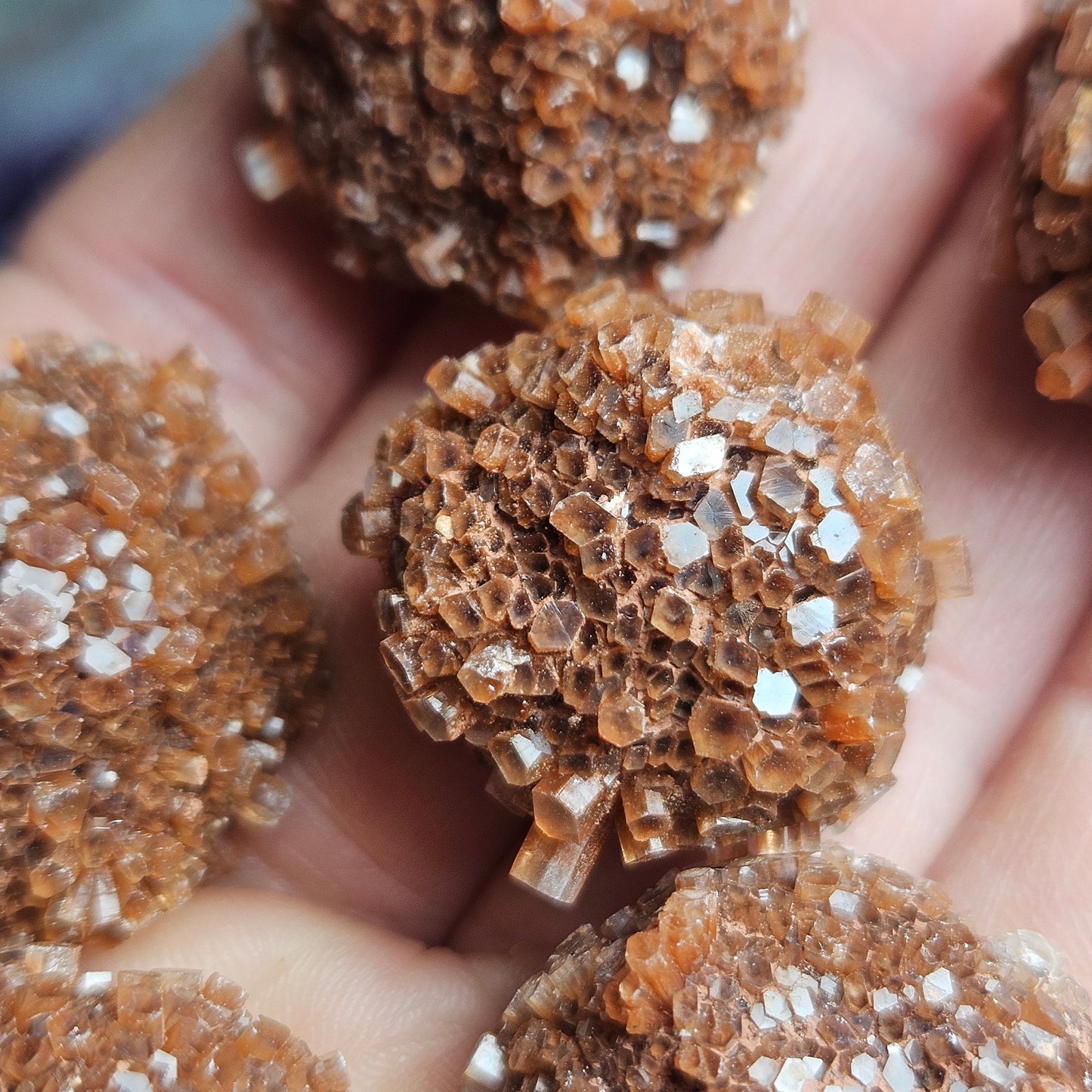 Aragonite Star Cluster