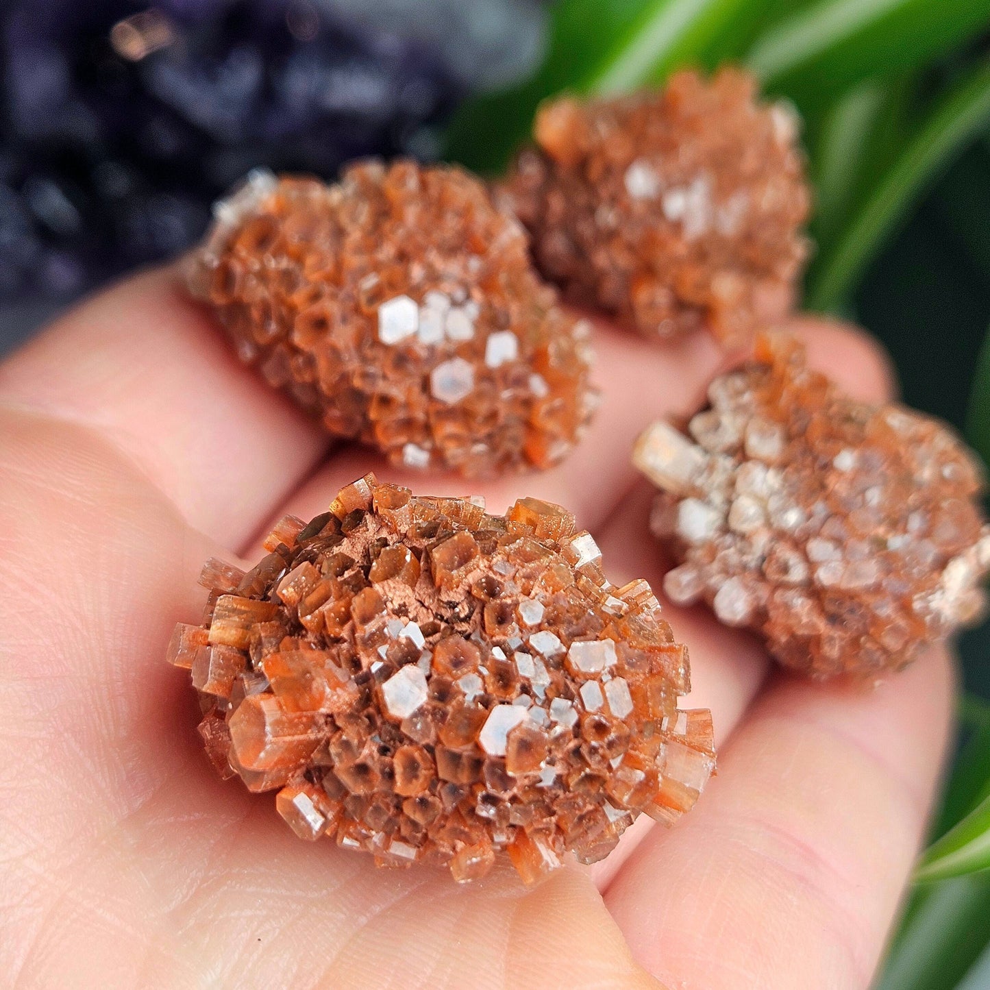 Aragonite Star Cluster