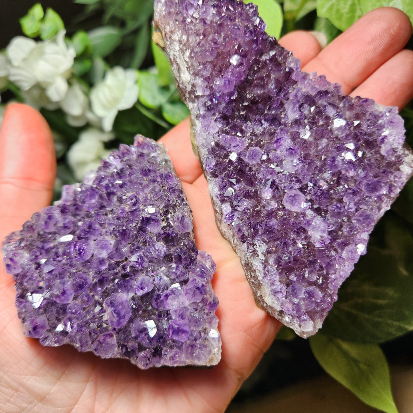 Raw Amethyst Cluster