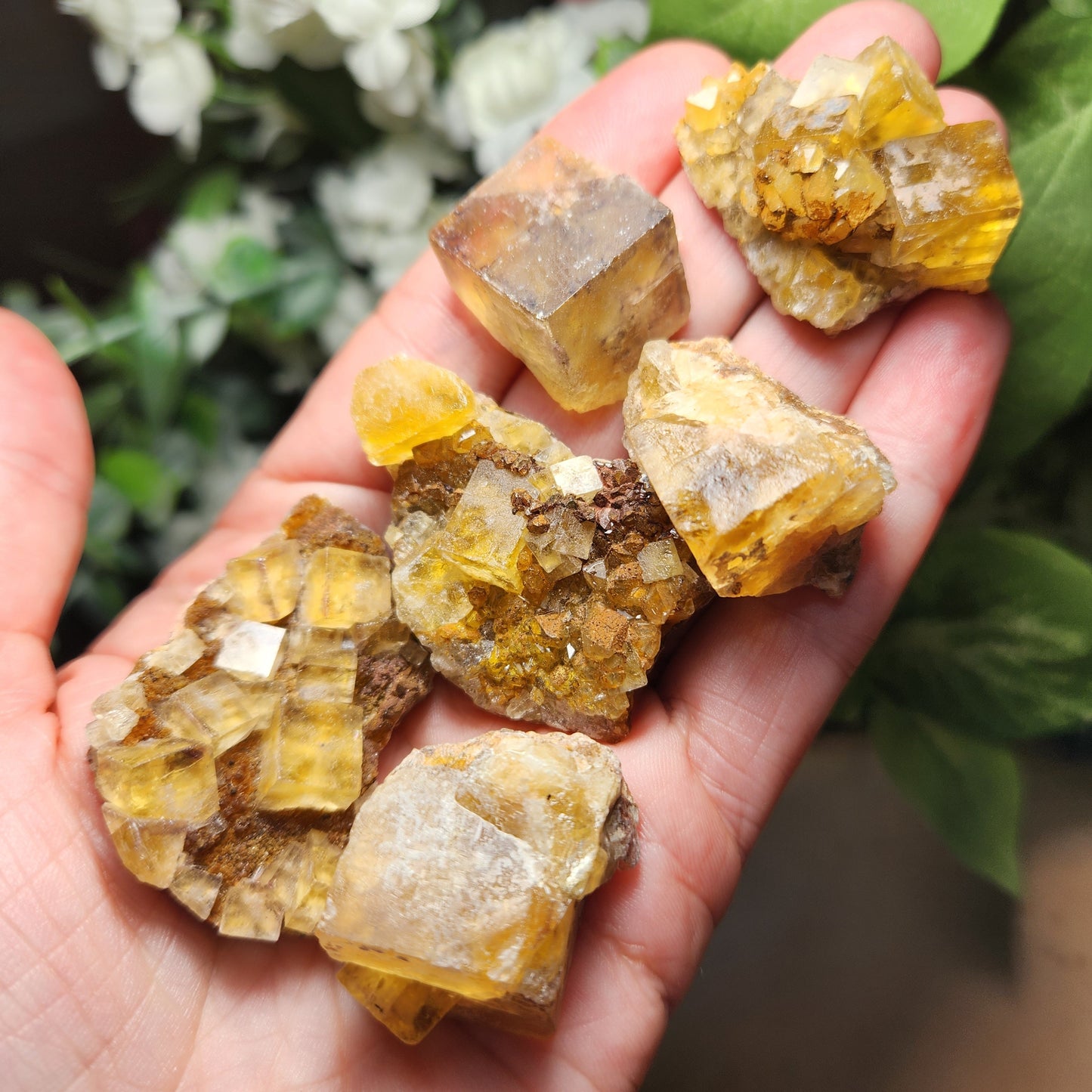 Yellow Fluorite Cluster