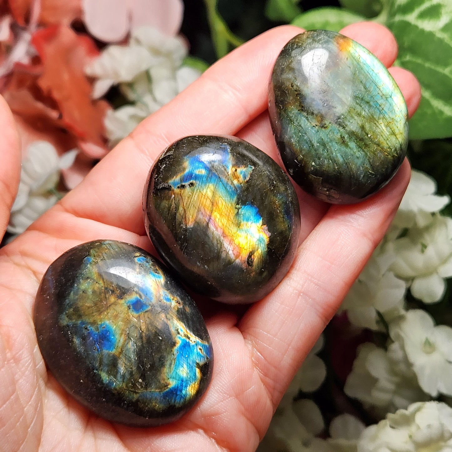 Spectrolite Palm